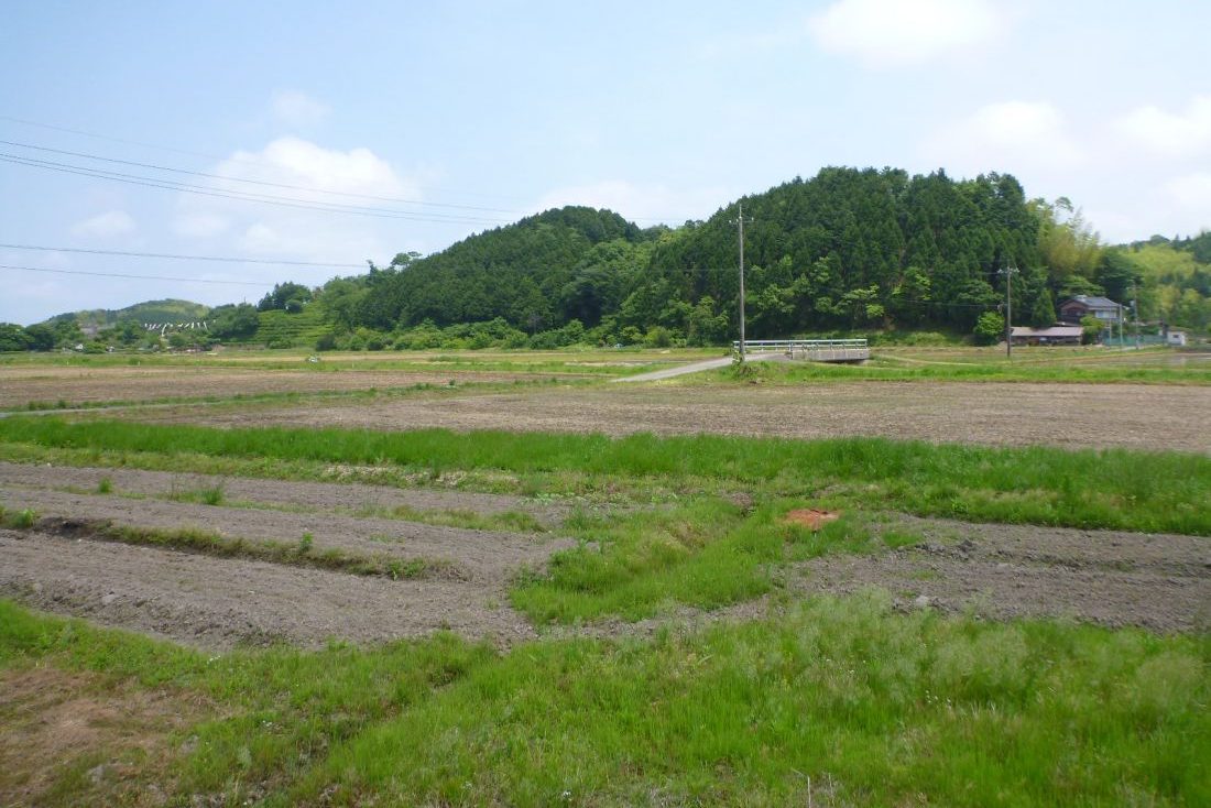 古代出雲王陵の丘（造山古墳群）