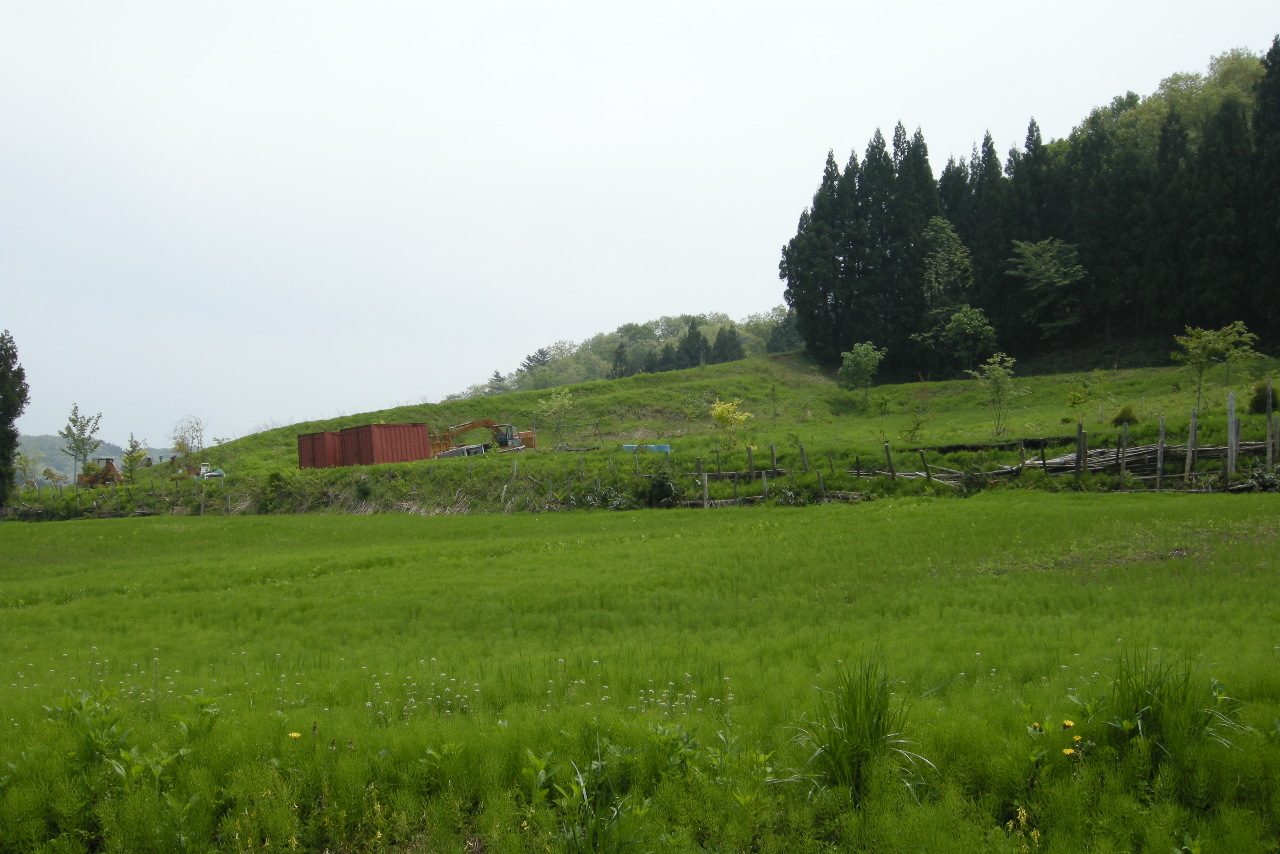 三井野原