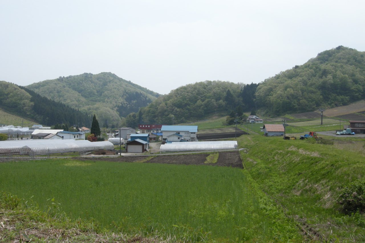 三井野原