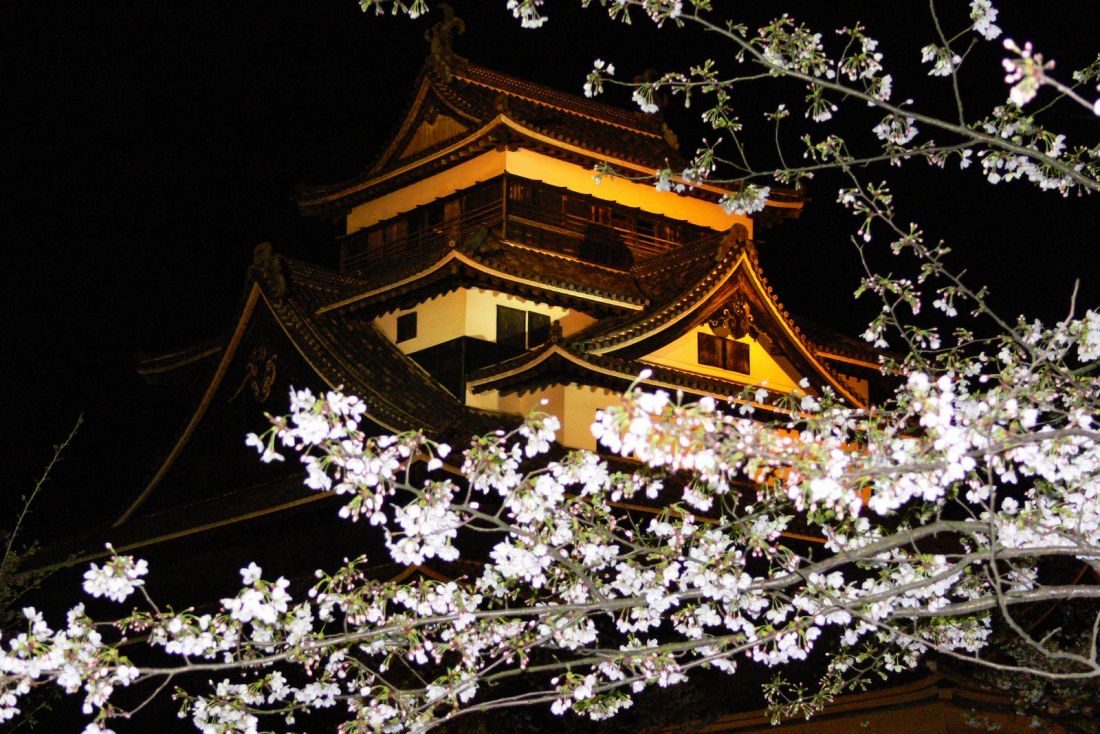 松江城山公園