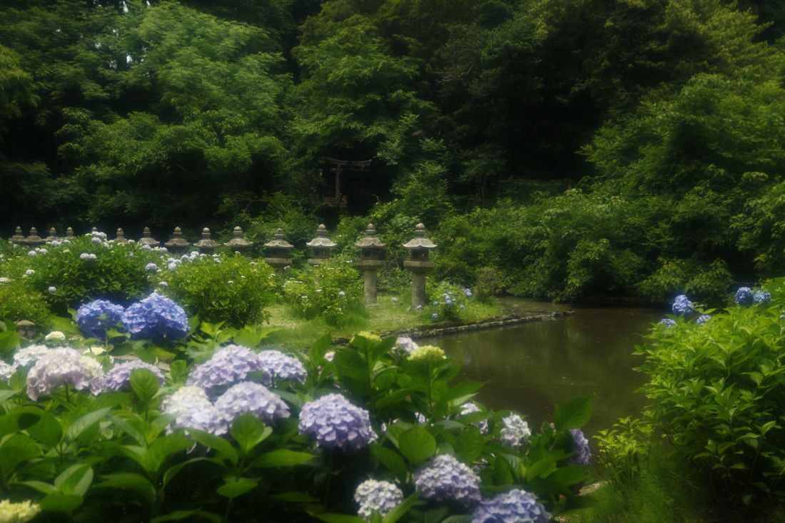 月照寺