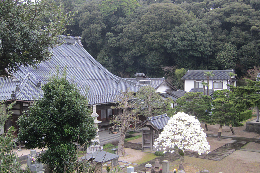 円成寺