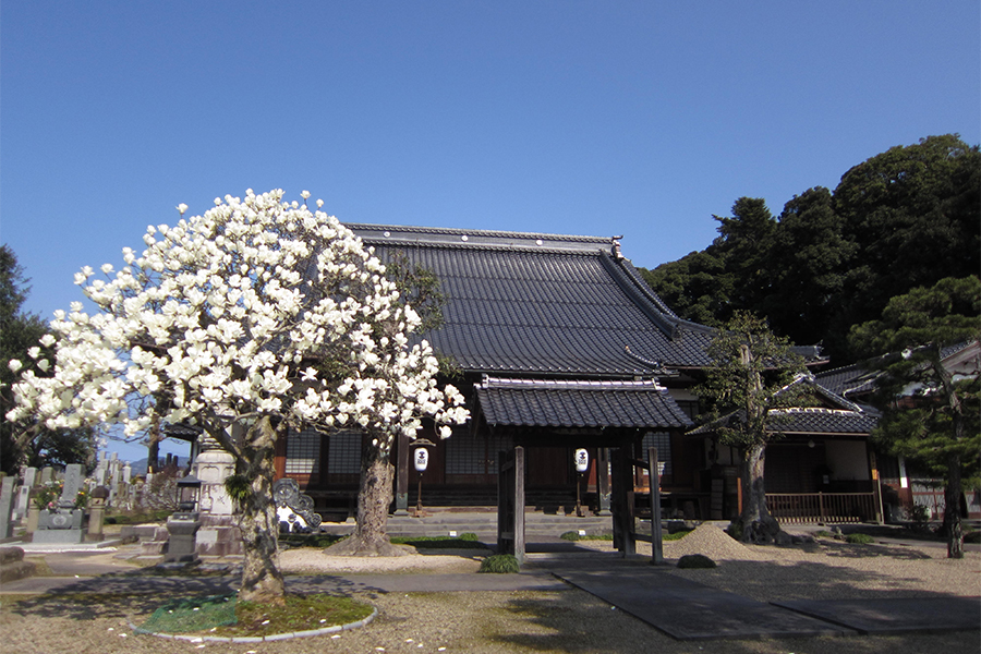 円成寺