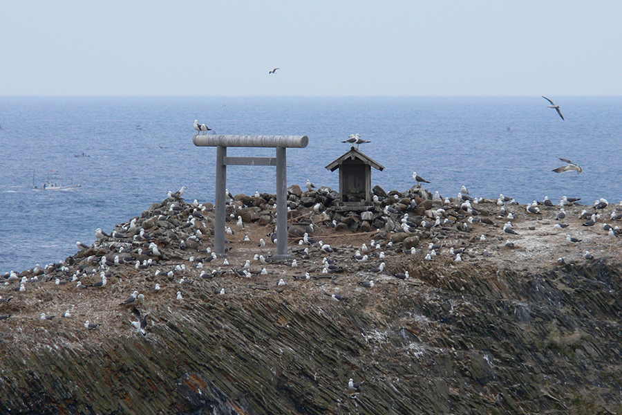 経島