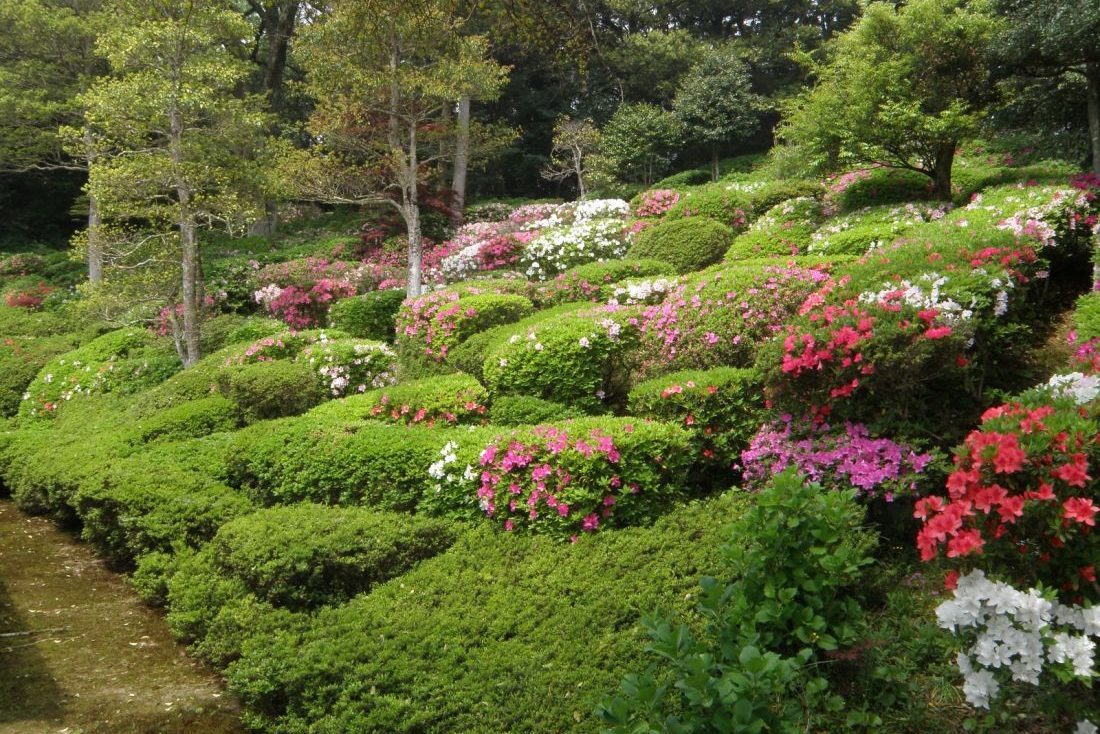 西光院