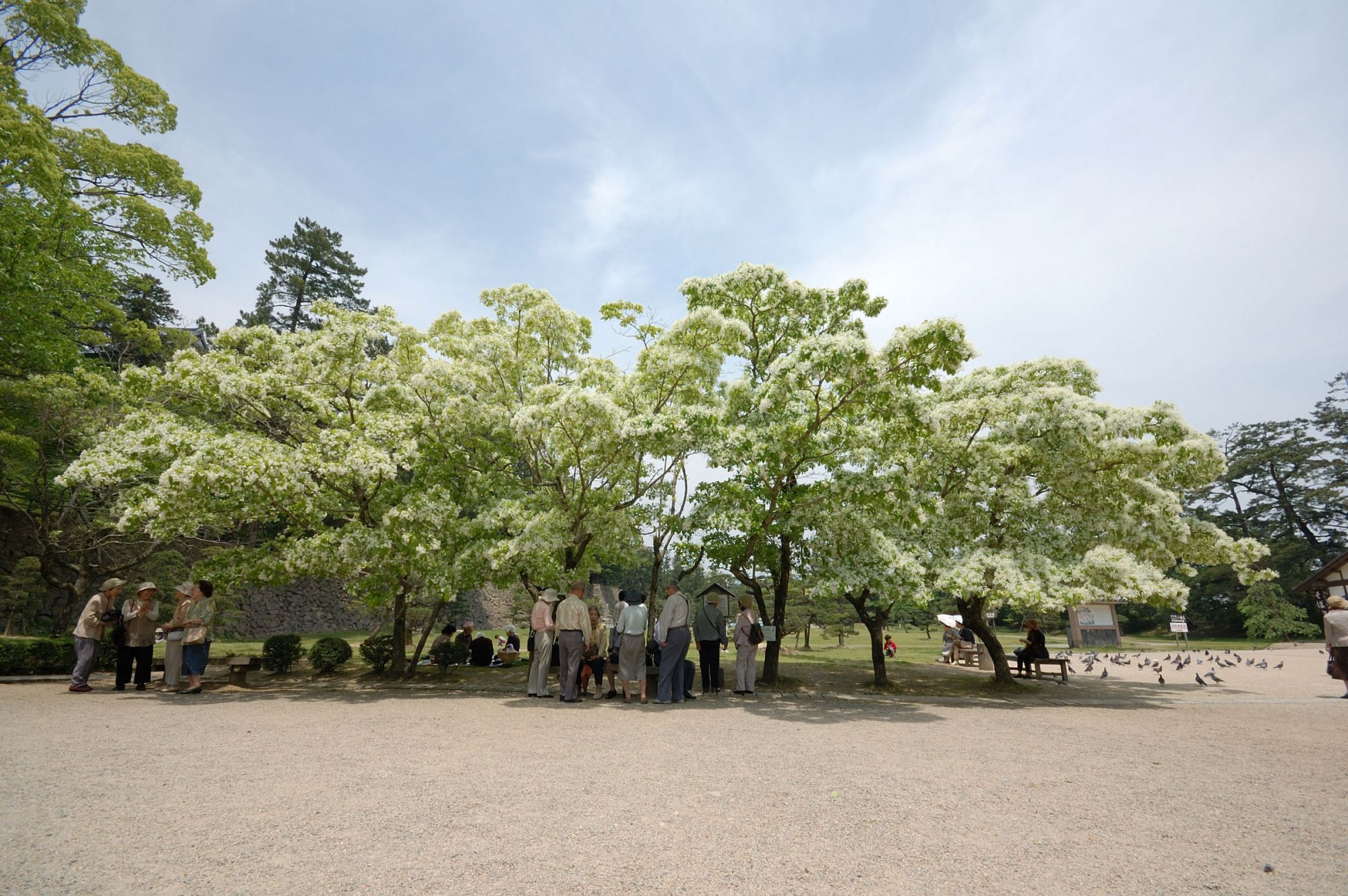松江城山公園