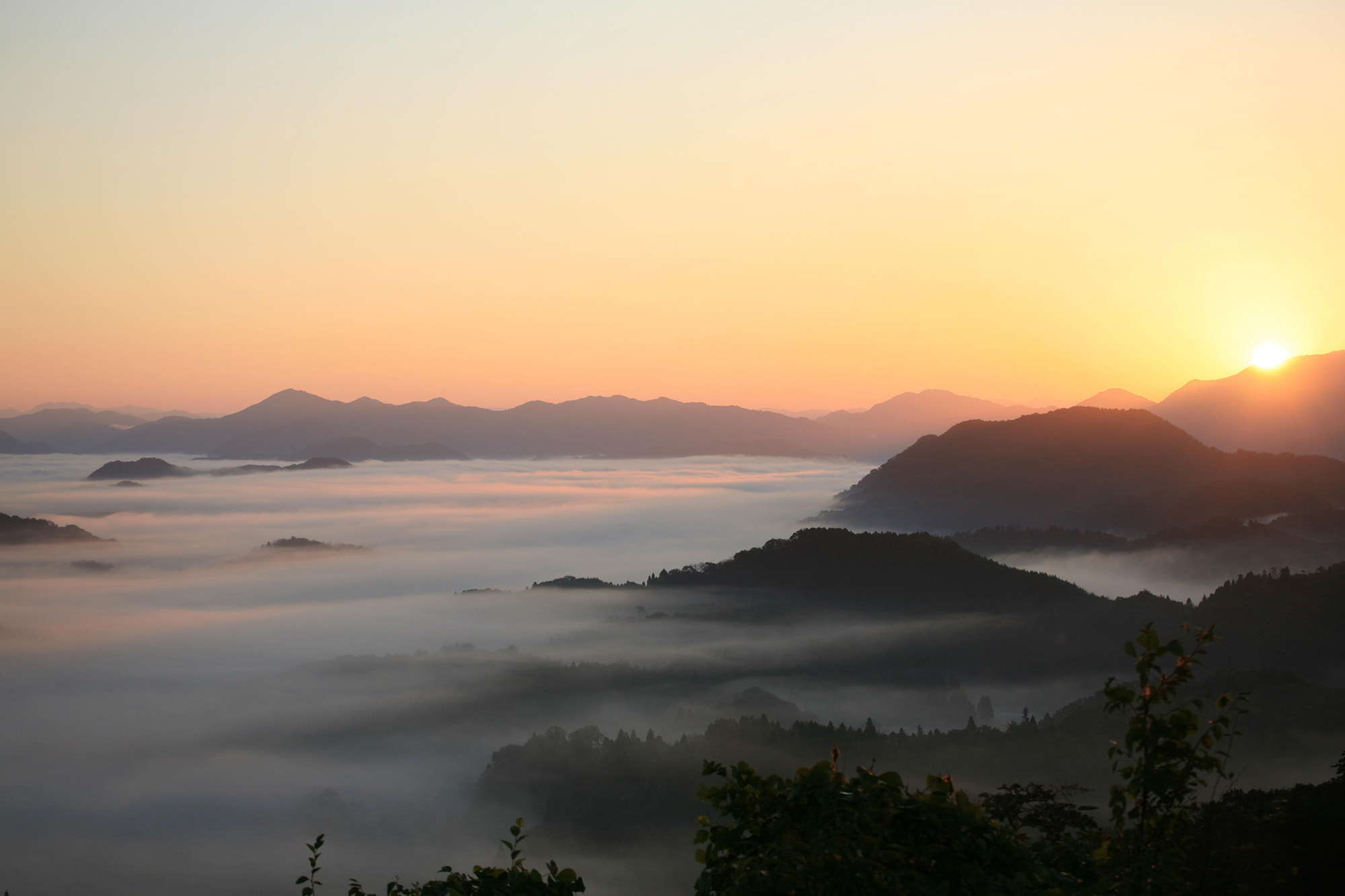 丸山城跡
