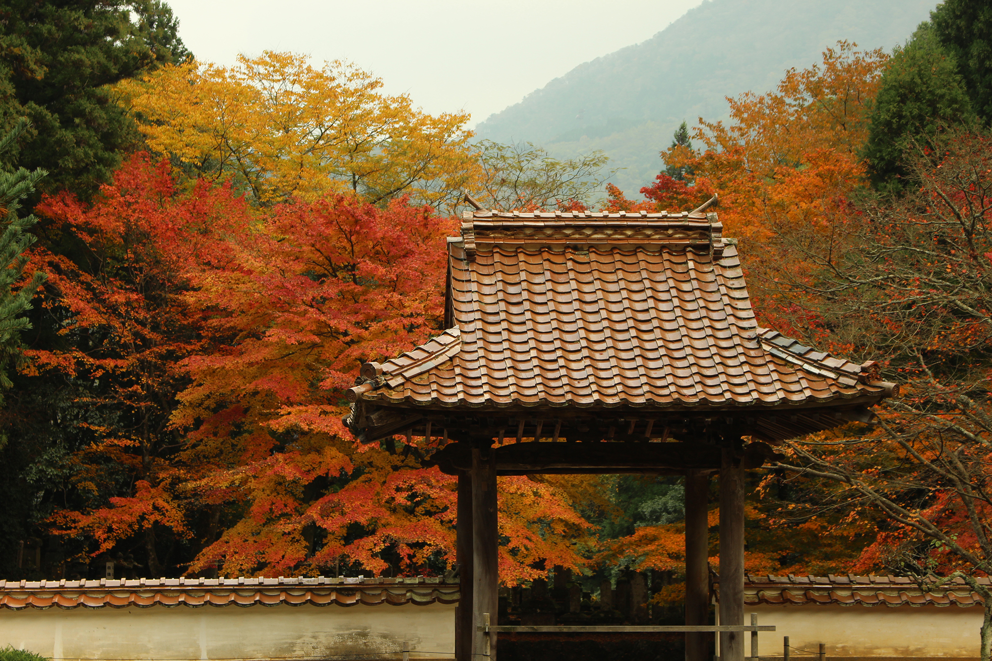 永明寺