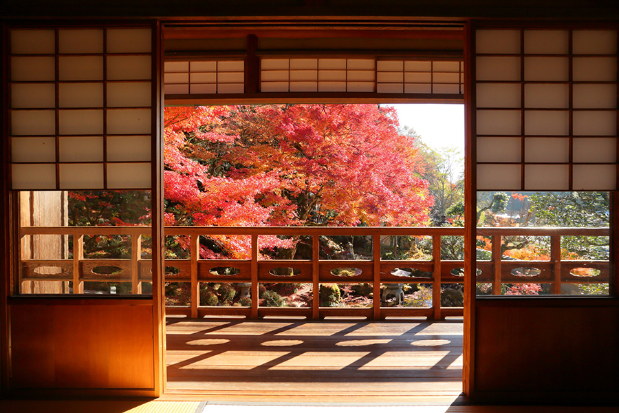 堀庭園の紅葉