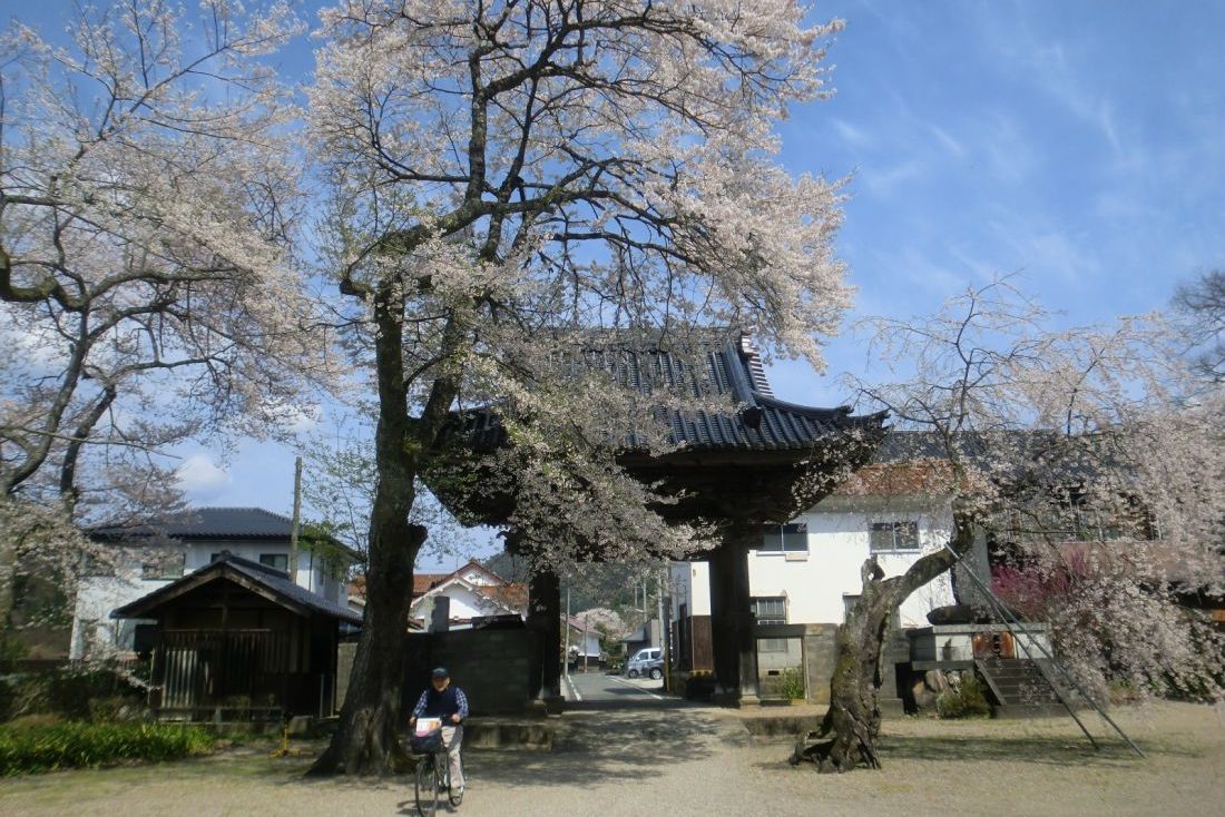 浄土寺