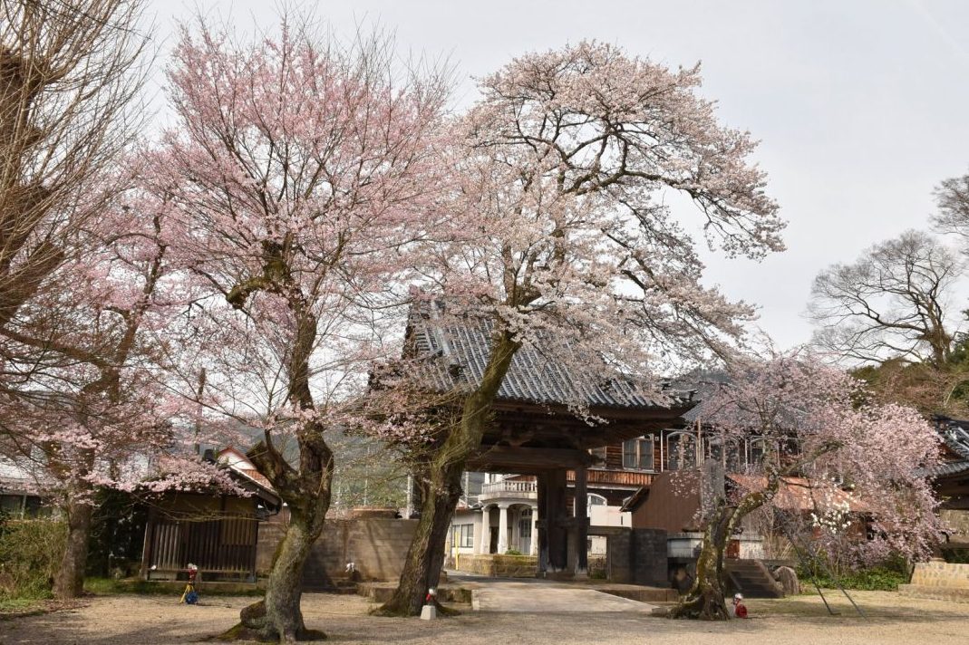 浄土寺