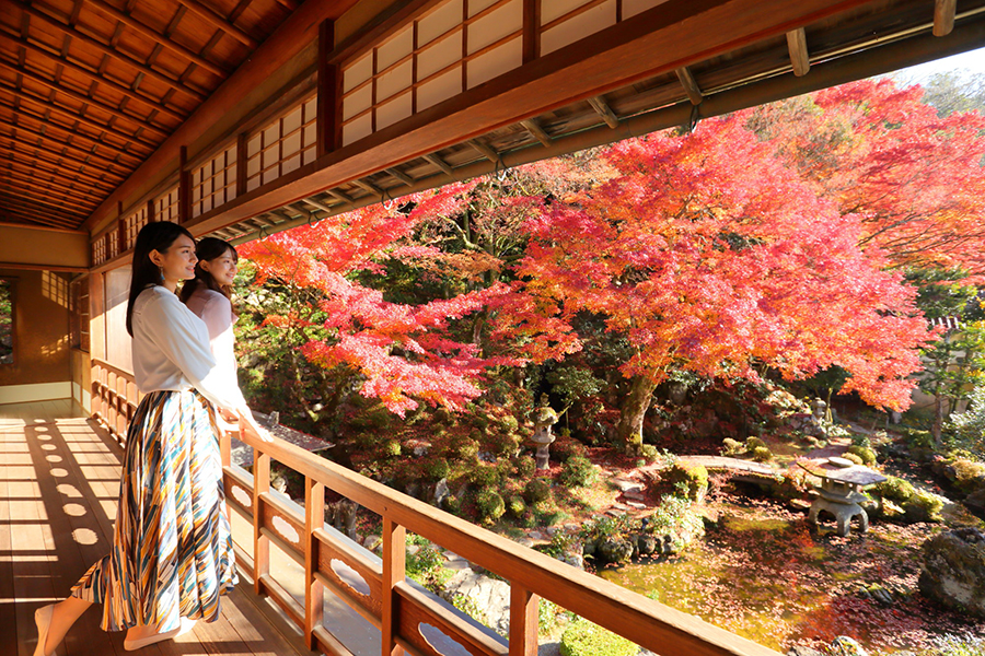 堀庭園の紅葉