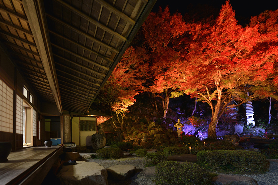 堀庭園の紅葉