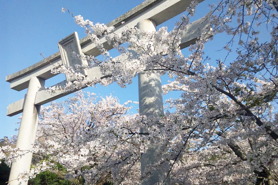 隠岐神社