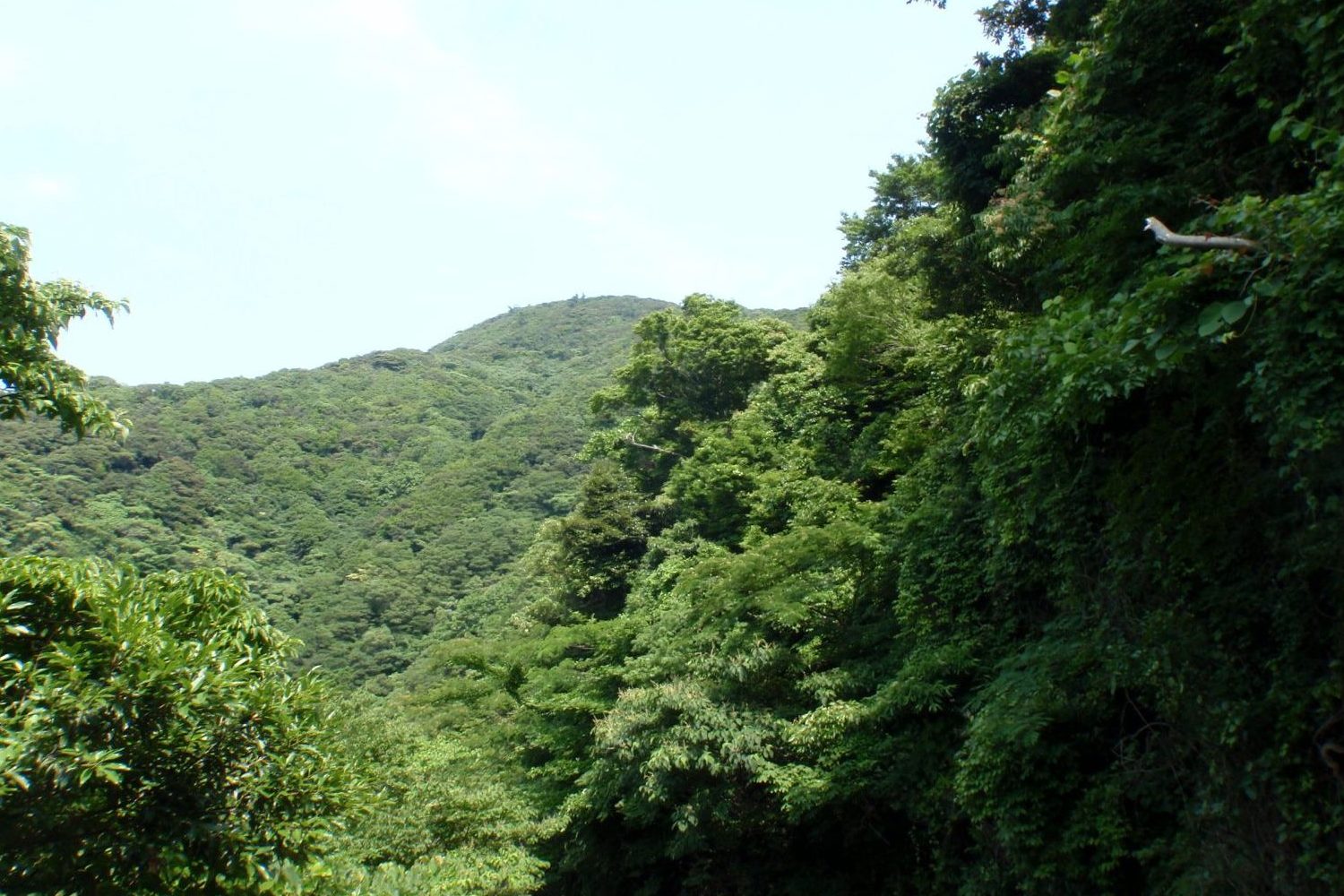 焼火神社