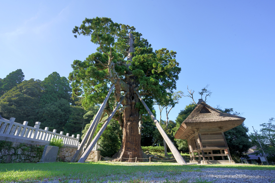 玉若酢命神社