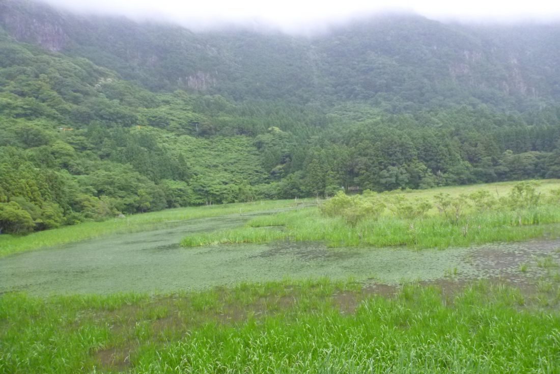 油井の池