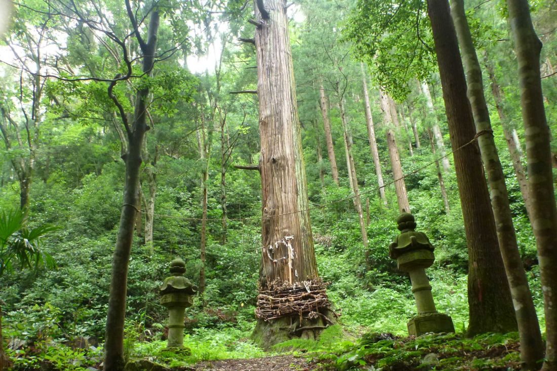 大山神社