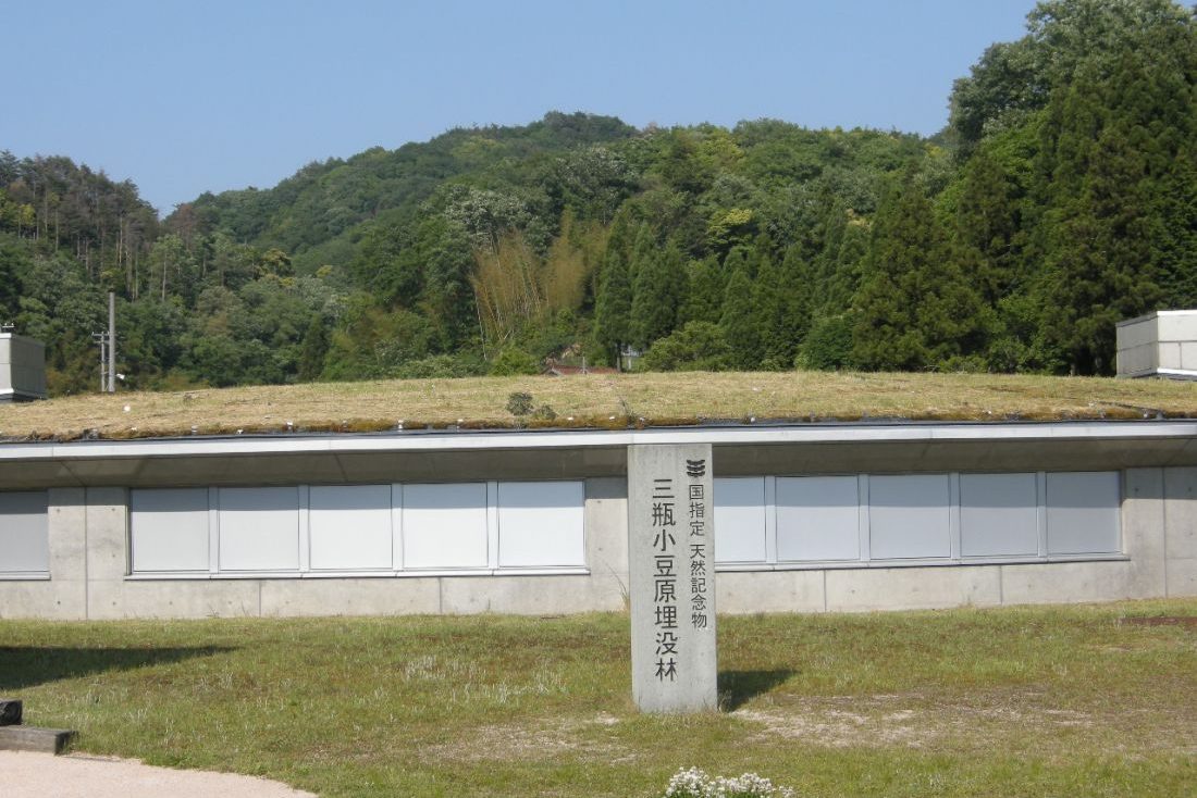 縄文の森公園