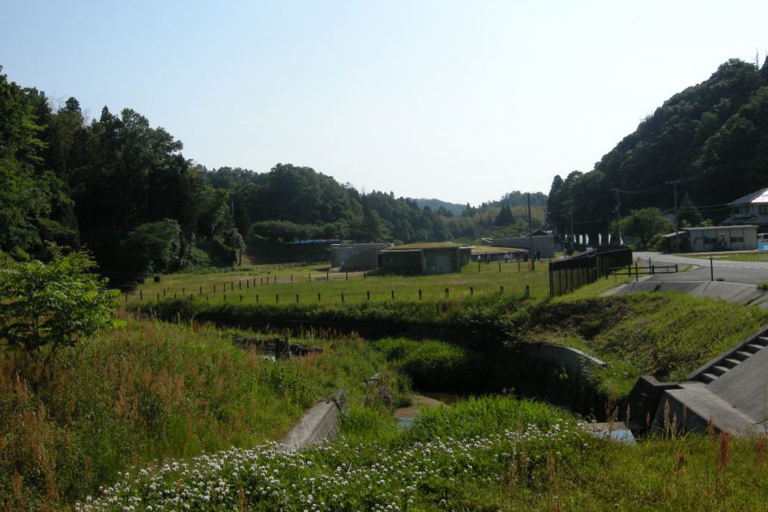 縄文の森公園