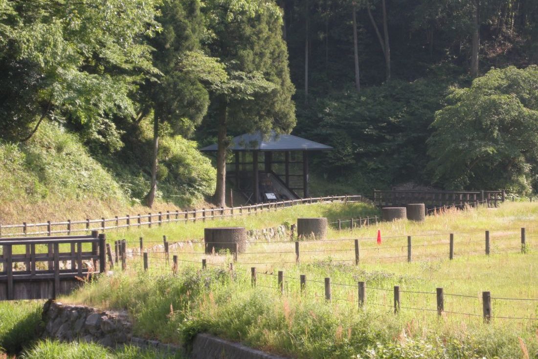 縄文の森公園
