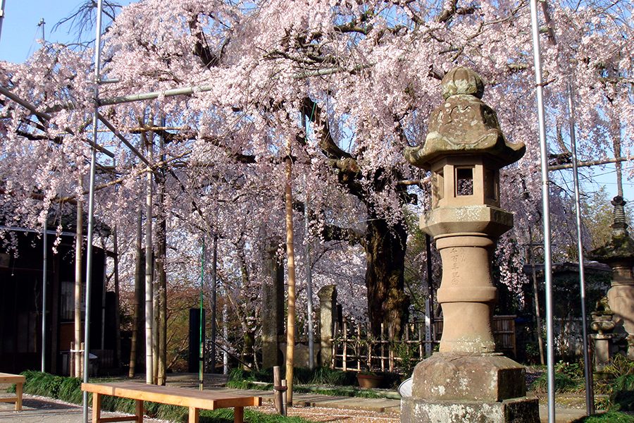 高野山　真言宗　千手院