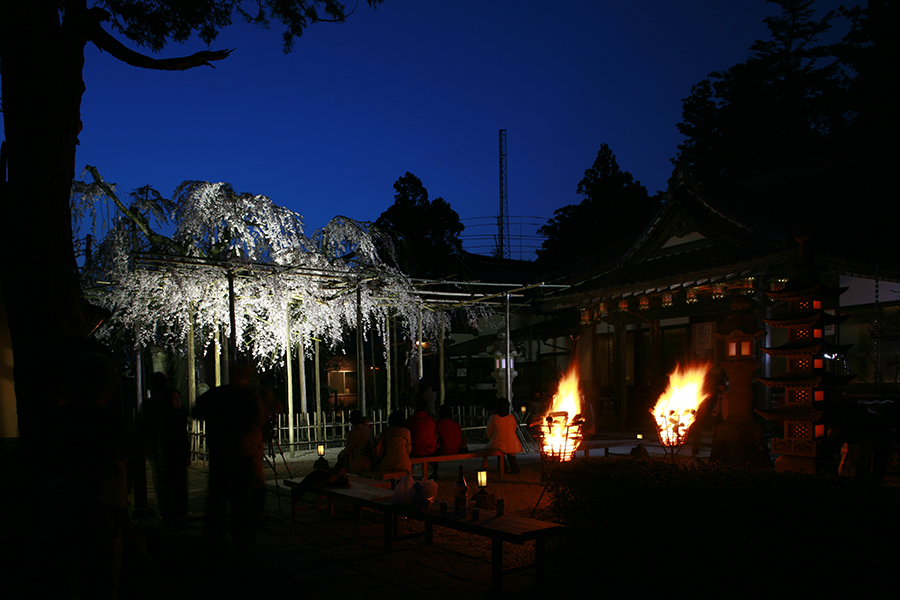 高野山　真言宗　千手院