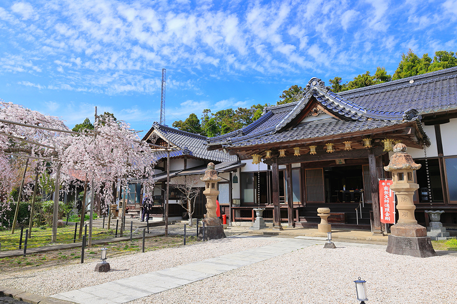 高野山　真言宗　千手院