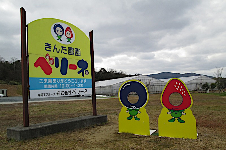 きんた農園 ベリーネ
