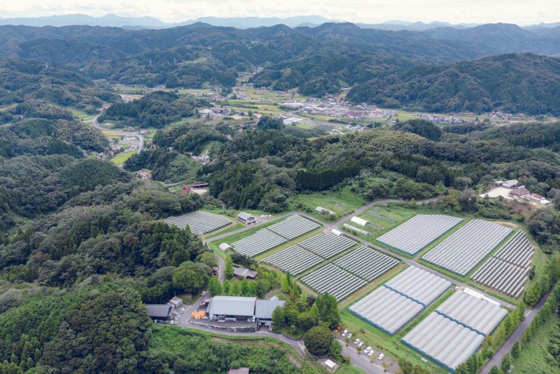 奥出雲葡萄園