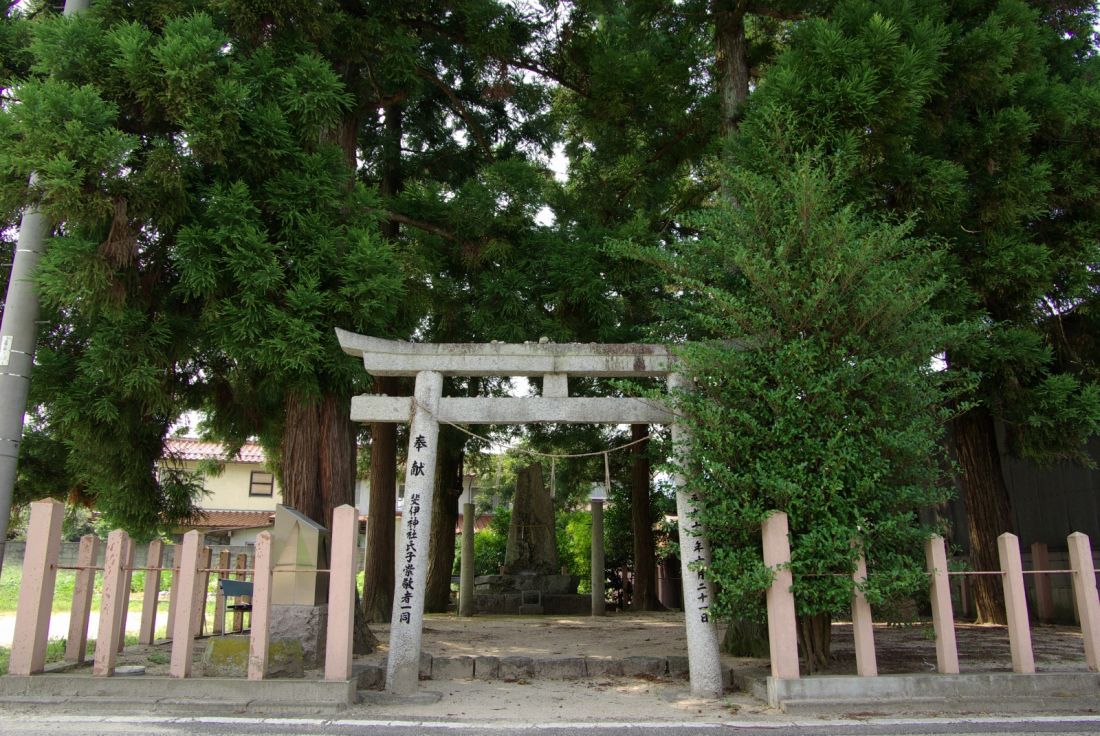 八本杉
