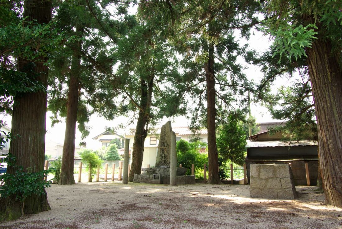 八本杉