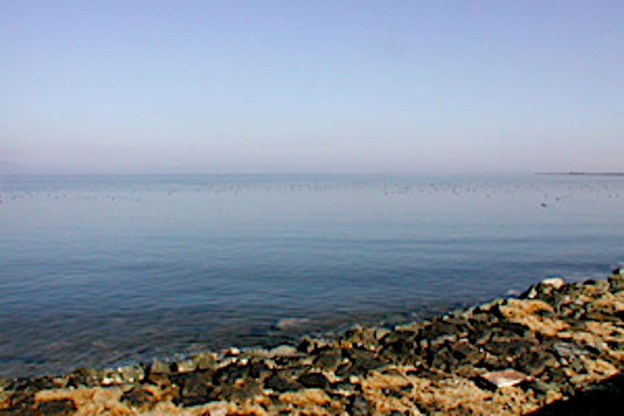 中海