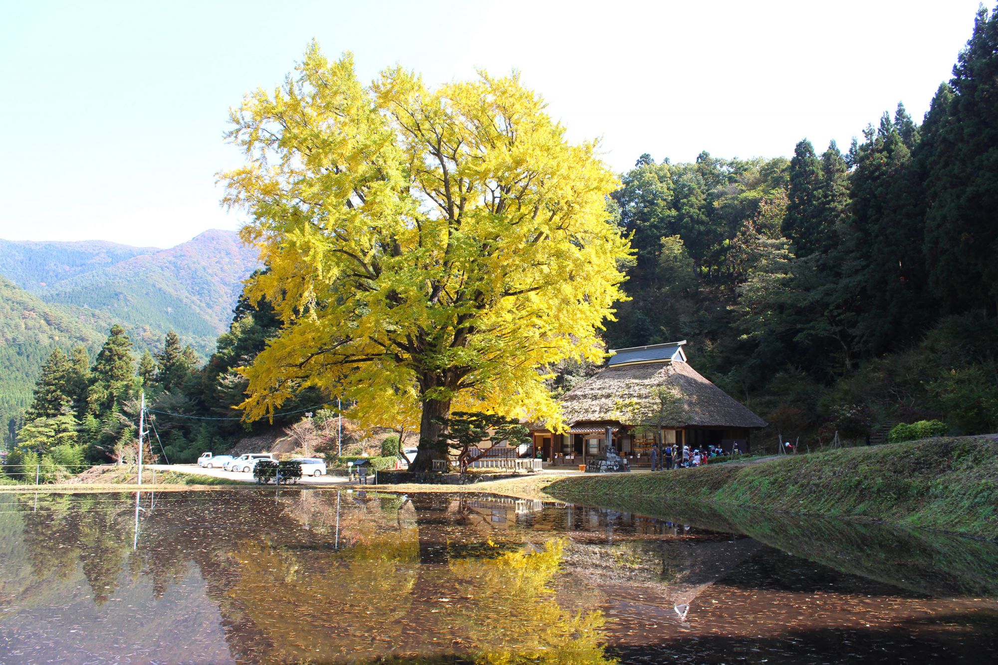 金言寺