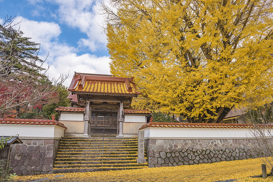 浄善寺