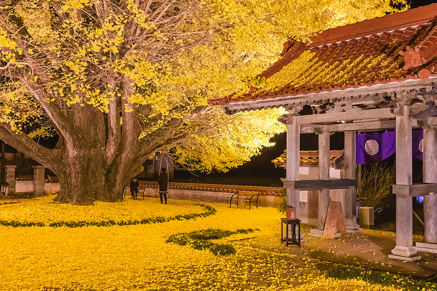 浄善寺