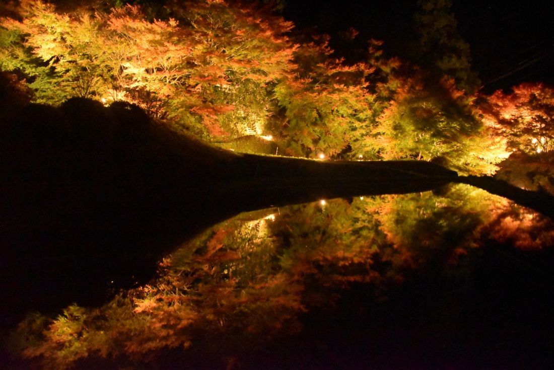 酒谷「光の里」