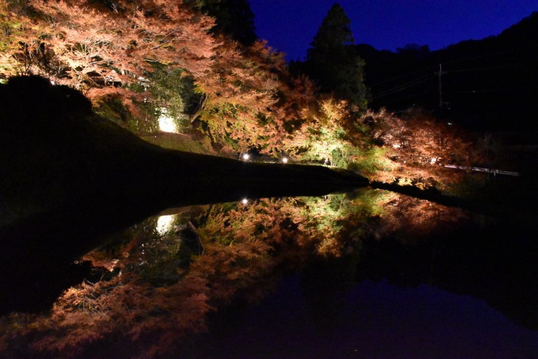 酒谷「光の里」