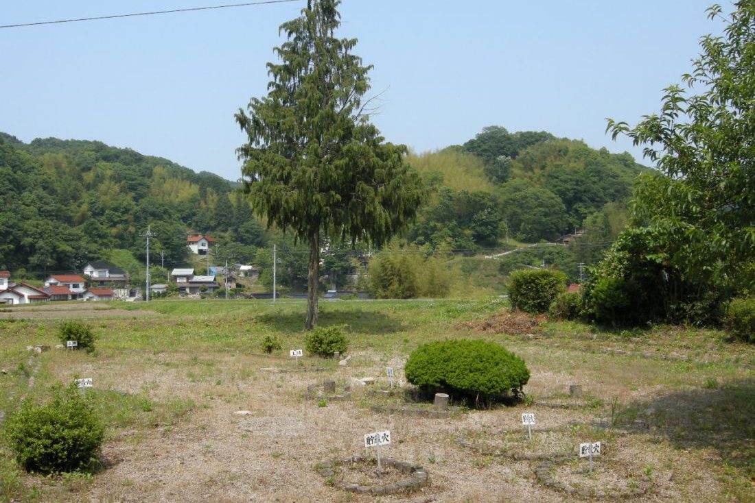 宮田遺跡