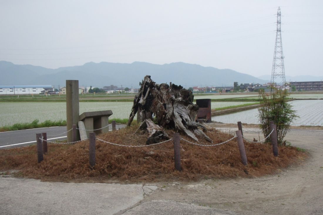 出西・伊波野一里塚