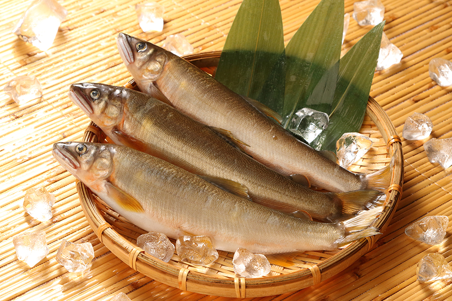 生鮎