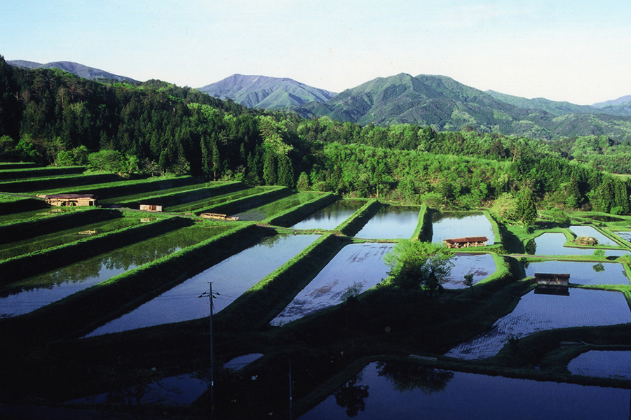 大原新田