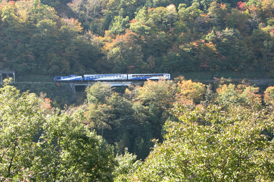 奥出雲おろちループ　トロッコ列車