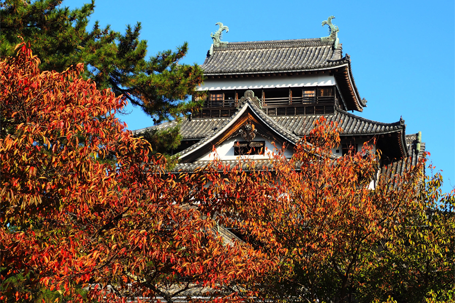 国宝松江城