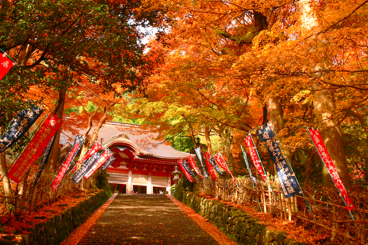 鰐淵寺