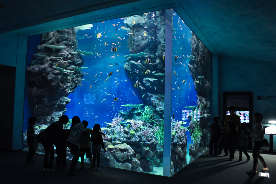 アクアス水族館