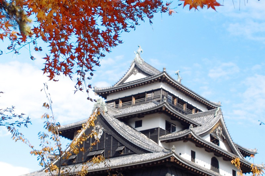 松江城の紅葉