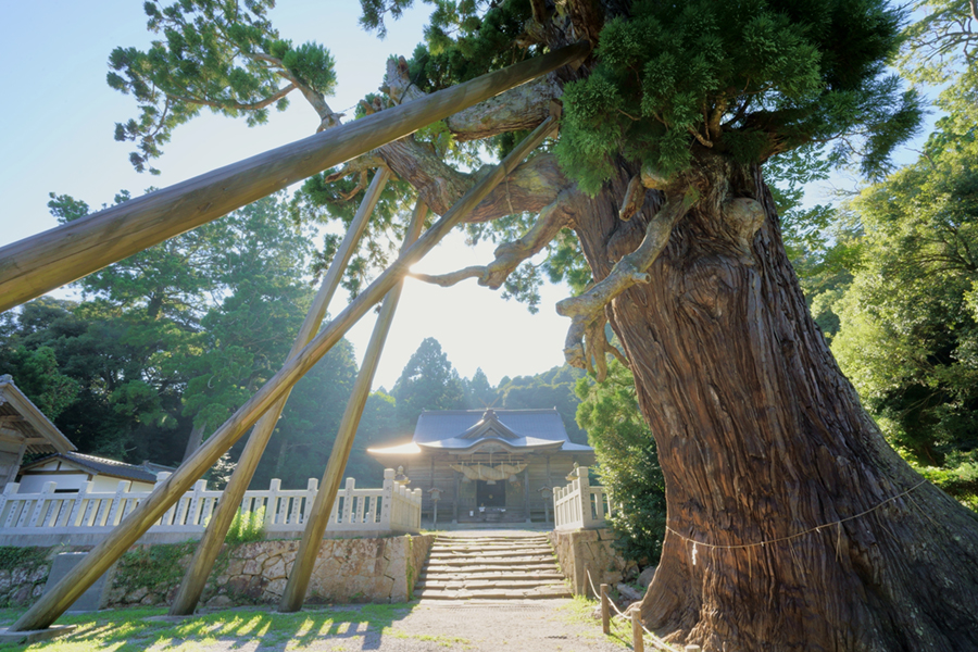 玉若酢命神社