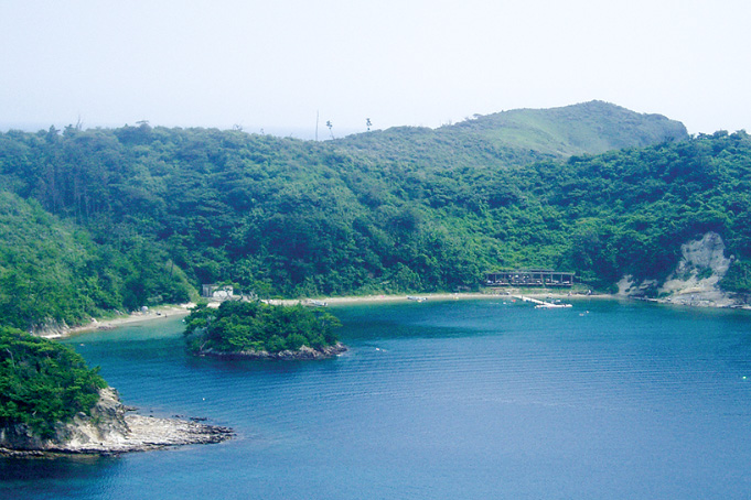 島津島