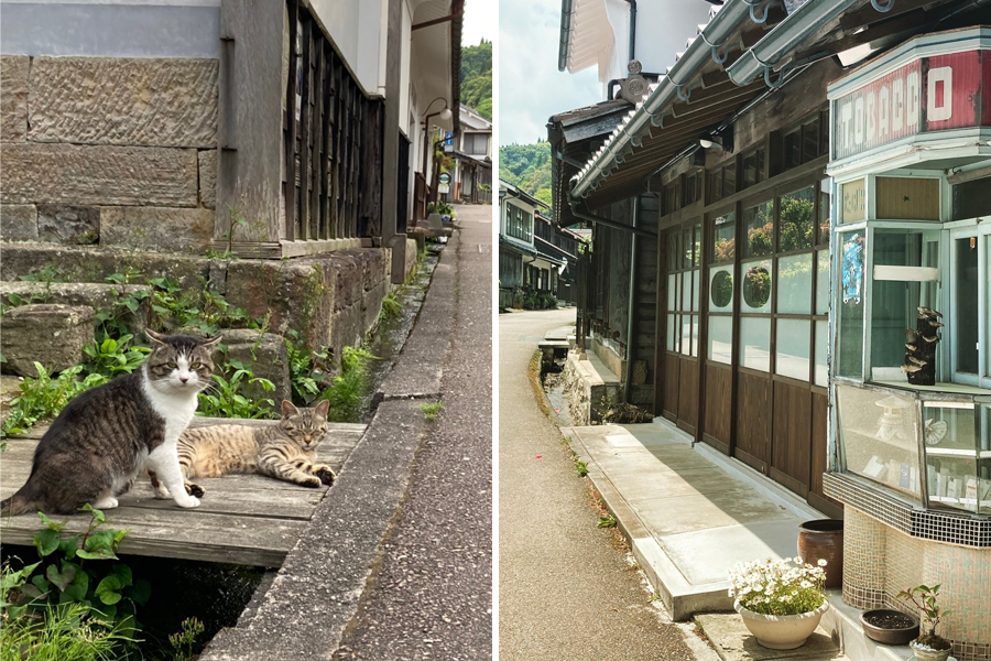 大森の町並み